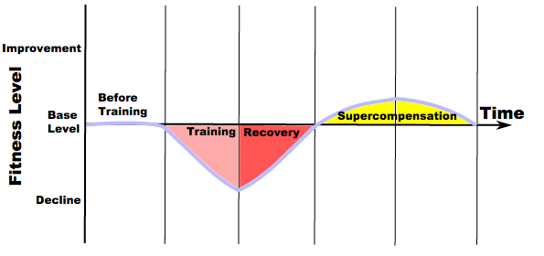 training causal loop diagram