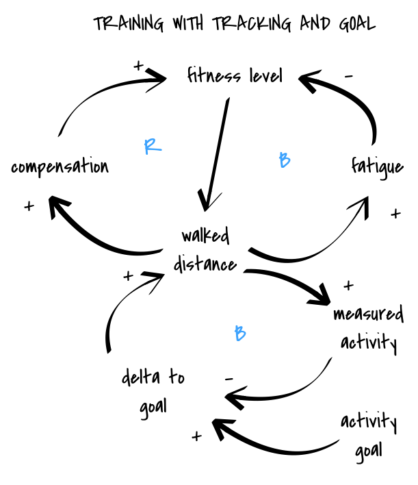 training causal loop diagram, tracker and goal